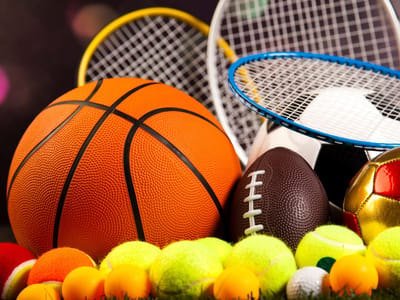 Professional sports team