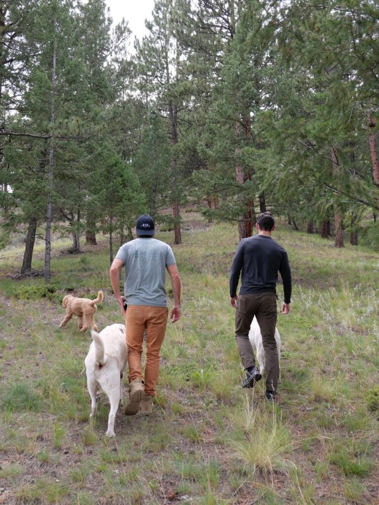 Two men hiking up a forested hillside with three dogs on a Colorado mountain trail